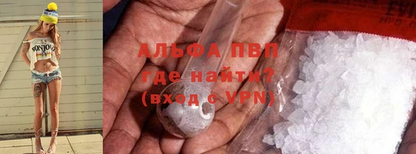 прущие грибы Алзамай