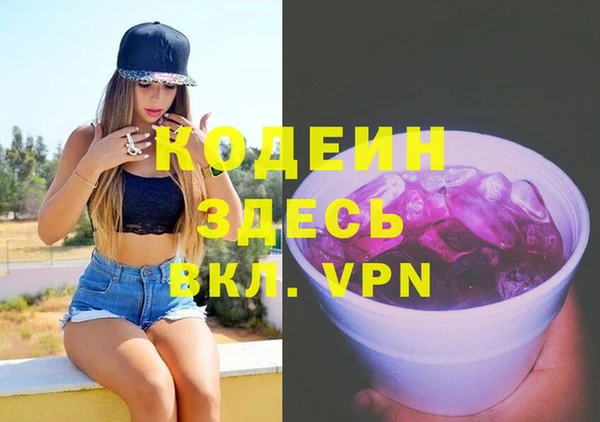 прущие грибы Алзамай